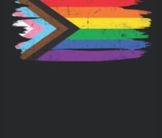 LGBT Flagge Gay Pride LGBTQ Notizbuch (liniert)