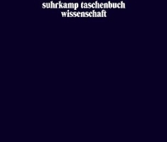 Queer Studies: Schlüsseltexte (suhrkamp taschenbuch wissenschaft)