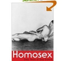 Homosex: Sixty Years of Gay Erotica