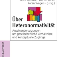 Über Heteronormativität: Auseinandersetzungen um gesellschaftliche Verhältnisse und konzeptuelle Zugänge (Forum Frauen- und Geschlechterforschung)