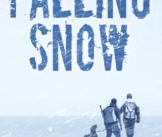 Falling Snow: Gay Thriller Romance