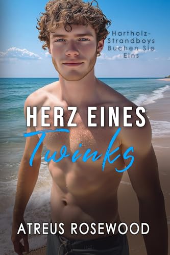 Herz eines Twinks: Schwule zeitgenössische bisexuelle Strandromantik (Hartholz-Strandboys 1)