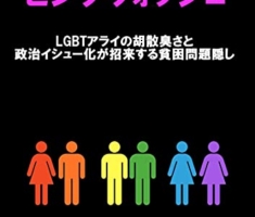 Pinkwashing : Concealment of poverty problems resulting from disguised LGBT ally and political problems (Japanese Edition)