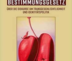Das Selbstbestimmungsgesetz: Über die Diskurse um Transgeschlechtlichkeit und Identitätspolitik (Queer Studies)