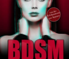 BDSM KURZGESCHICHTEN BAND I: unzensierte Sexgeschichten ab 18