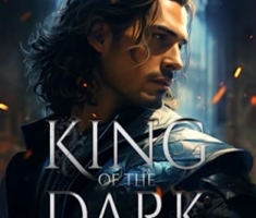 King of the Dark: Dunkle Intrigen: Schwul Fantasyromane (Der Assassine des Prinzen, Band 1)