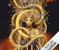 Wenn die Schatten sich erheben: Crescent City 3
