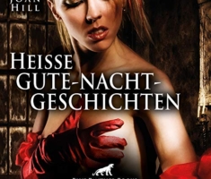 Heiße Gute-Nacht-Geschichten: Erotik pur für Männer und Frauen...